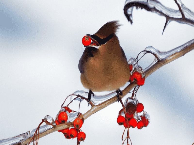 海口试管做几代好,2024年海口秋子准备试管（哪里回收核酸试管）